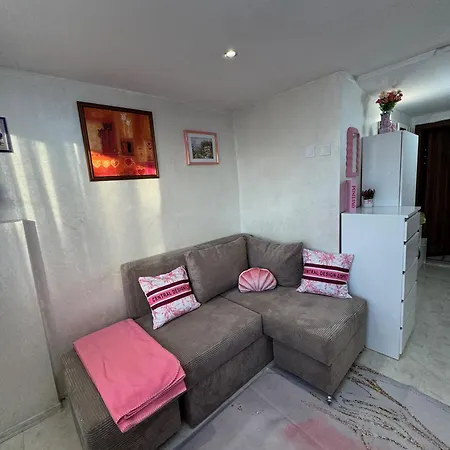 Design Sofia